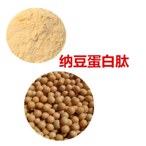 納豆多肽  納豆小分子肽  納豆蛋白 納豆蛋白肽