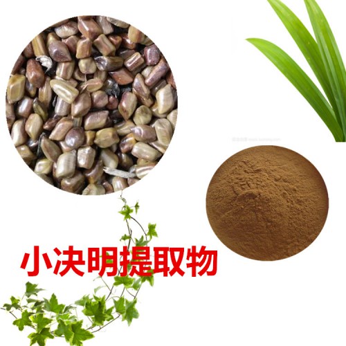 小決明浸膏粉 小決明提取物 小決明粉 小決明提取液