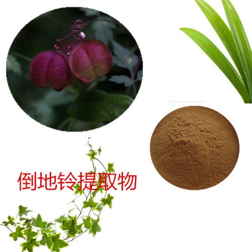 倒地鈴浸膏粉 倒地鈴提取物 倒地鈴粉 倒地鈴提取液