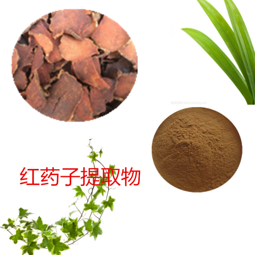 紅藥子浸膏粉 紅藥子提取物 紅藥子粉 紅藥子提取液