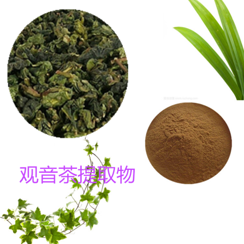 觀音茶浸膏粉 觀音茶提取物 觀音茶粉 觀音茶提取液