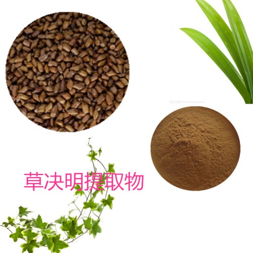 草決明浸膏粉 草決明提取物 草決明粉 草決明提取液