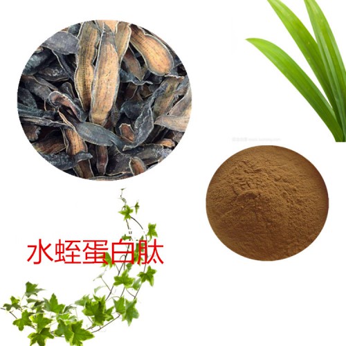 水蛭蛋白 水蛭蛋白肽 水蛭多肽 水蛭小分子肽