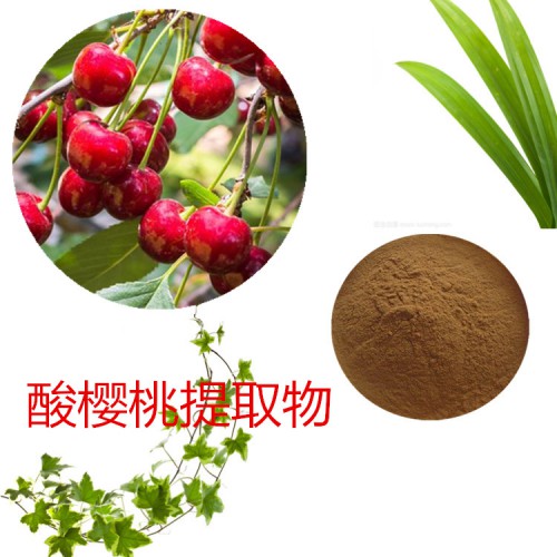 酸櫻桃提取物 酸櫻桃粉 酸櫻桃速溶粉 酸櫻桃浸膏粉
