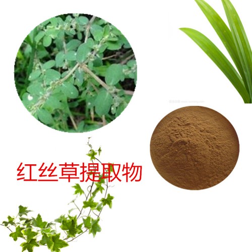 紅絲草提取  紅絲草粉 紅絲草速溶粉 紅絲草浸膏粉