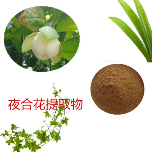 夜合花提取物  夜合花粉 夜合花速溶粉 夜合花浸膏粉