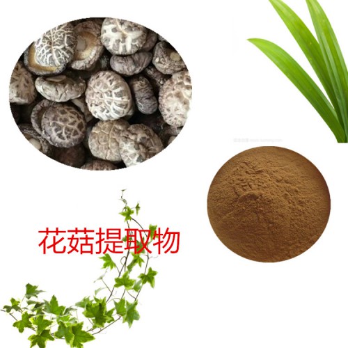 花菇提取物  花菇粉 花菇速溶粉 花菇浸膏粉