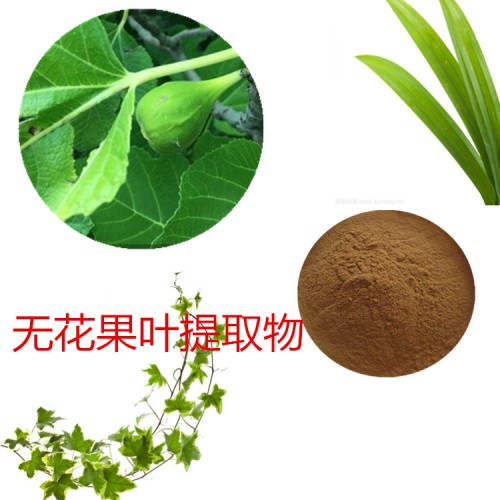 無花果葉提取物 無花果葉速溶粉 無花果葉浸膏粉