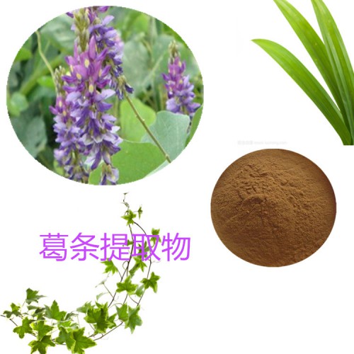 葛條提取物  葛條粉 葛條速溶粉 葛條浸膏粉