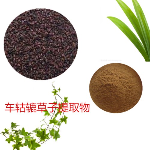 車轱轆草子提取物  車轱轆草子速溶粉 車轱轆草子浸膏粉