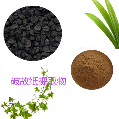 破故紙提取物 破故紙粉 破故紙速溶粉 破故紙浸膏粉