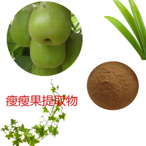 瘦瘦果提取物 瘦瘦果粉 瘦瘦果速溶粉  瘦瘦果浸膏粉