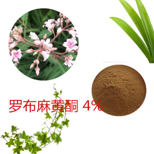 羅布麻提取物 羅布麻黃酮4% 羅布麻速溶粉  羅布麻浸膏粉