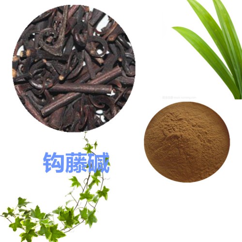 鉤藤堿98% 鉤藤提取物  鉤藤粉   鉤藤浸膏
