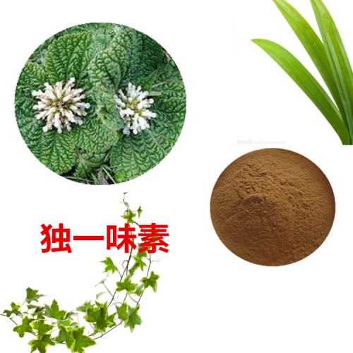 獨一味素 10%  獨一味提取物  獨一味粉   獨一味浸膏