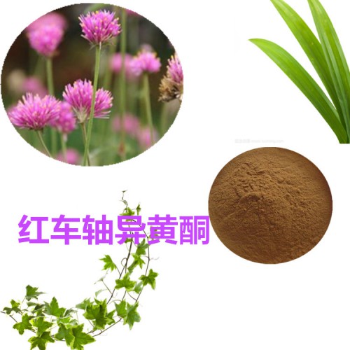 紅車軸異黃酮8%  紅車軸浸膏粉 紅車軸提取液