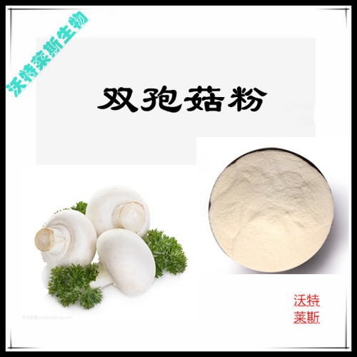 雙孢菇粉 雙孢菇粉  雙孢菇粉 雙孢菇提取物