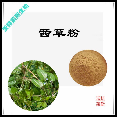 茜草粉 茜草提取物 茜草浸膏 茜草提取液