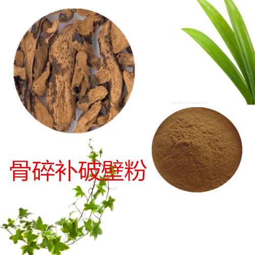 骨碎補粉  骨碎補破壁粉 骨碎補浸膏  骨碎補提取液