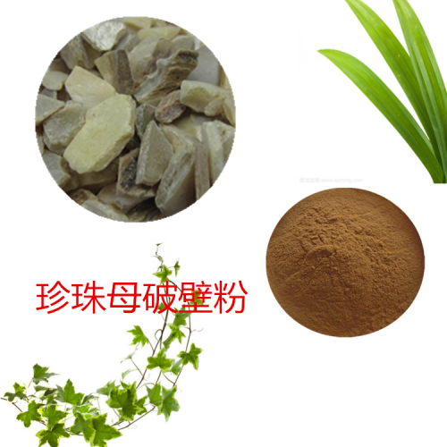 絞股藍粉  絞股藍破壁粉 絞股藍浸膏  絞股藍提取液