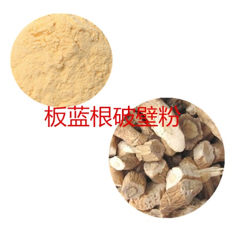 板藍根粉 板藍根破壁粉 板藍根浸膏  板藍根提取液