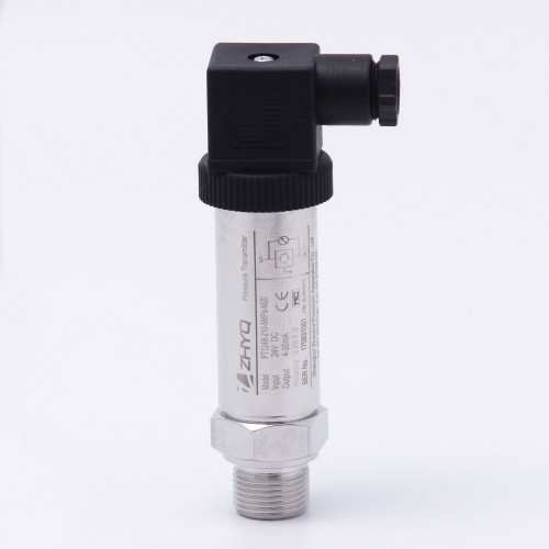 應變式壓力變送器210 (29)