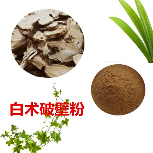 白術粉 白術破壁粉 白術浸膏 白術提取液