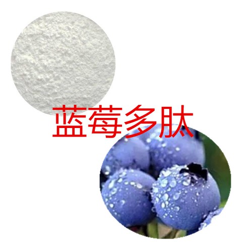 藍莓肽粉 藍莓小分子肽  藍莓蛋白 藍莓粉