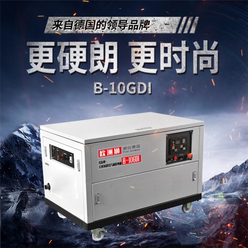 雙缸10kw汽油發電機 歐洲獅動力B-10GDI