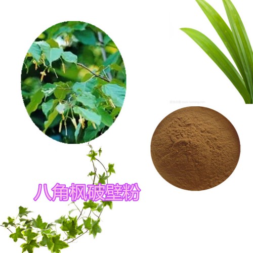 八角楓破壁粉  八角楓提取物  八角楓粉  八角楓浸膏