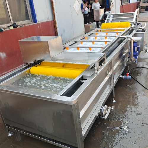 義康制造  鼓泡清洗機  辣椒清洗機  娃娃菜清洗機
