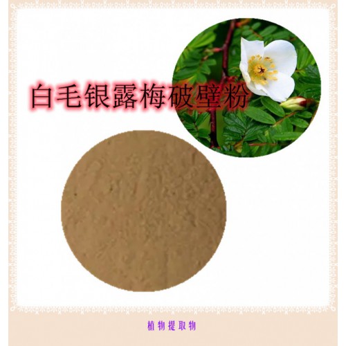 白毛銀露梅粉  白毛銀露梅提取物   白毛銀露梅破壁粉