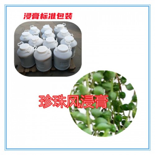 珍珠風提取物 珍珠風浸膏  珍珠風粉 珍珠風破壁粉