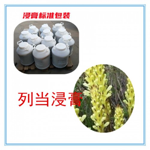 列當提取物 列當浸膏  列當粉 列當破壁粉