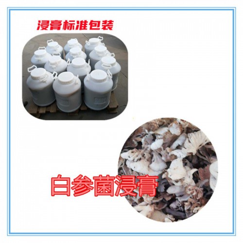 白參菌粉  白參菌提取物 白參菌浸膏  白參菌破壁粉