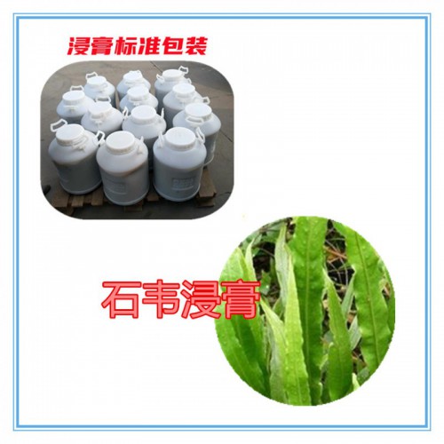 石韋粉  石韋提取物 石韋浸膏  石韋破壁粉