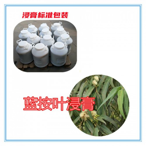 藍(lán)按葉提取物 藍(lán)按葉浸膏  藍(lán)按葉粉 藍(lán)按葉破壁粉