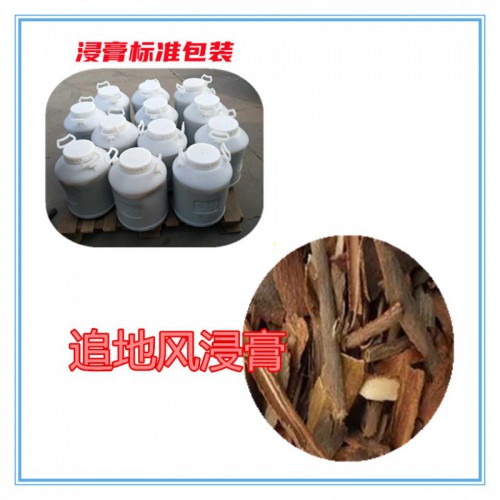 追地風(fēng)粉 追地風(fēng)提取物 追地風(fēng)浸膏 追地風(fēng)破壁粉