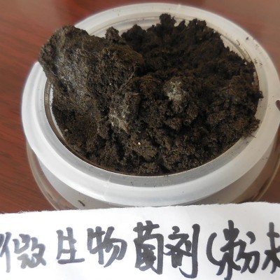 生物菌肥 微生物菌肥 微生物菌劑