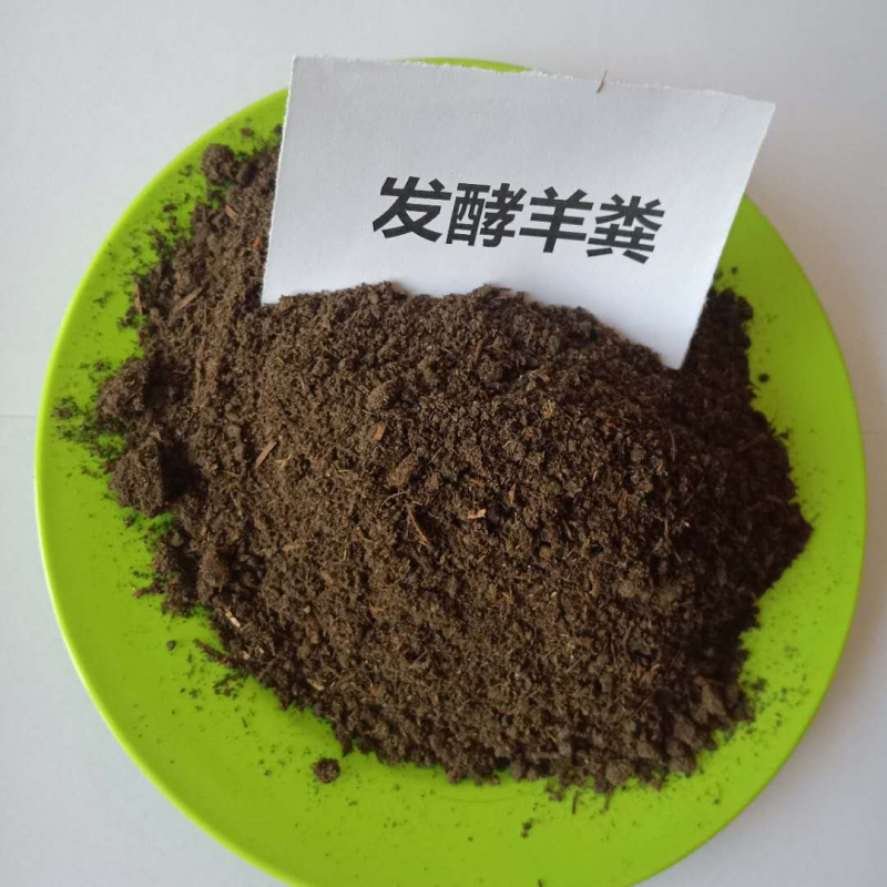 發酵羊糞6