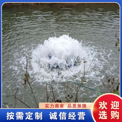 景觀噴泉曝氣機(jī) 涌泉式河道推流 微納米