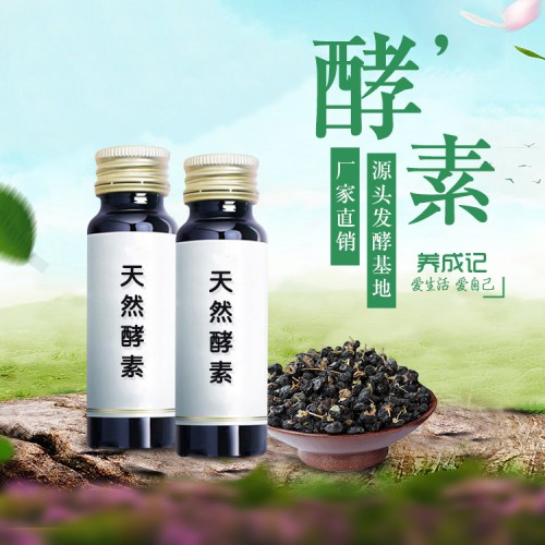 桑葚酵素oem 排毒潤腸通便 酵素代加工廠家