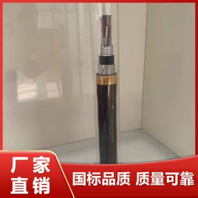 鐵路信號(hào)電纜PTYA23