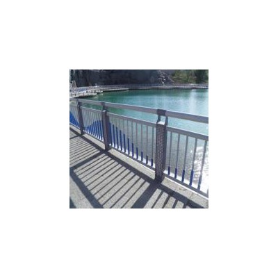 橋梁護(hù)欄 橋梁專用護(hù)欄