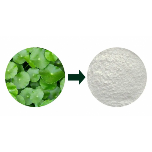 積雪草提取物