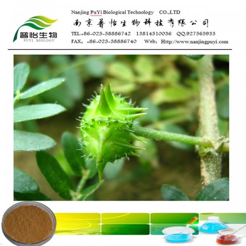 刺蒺藜皂苷