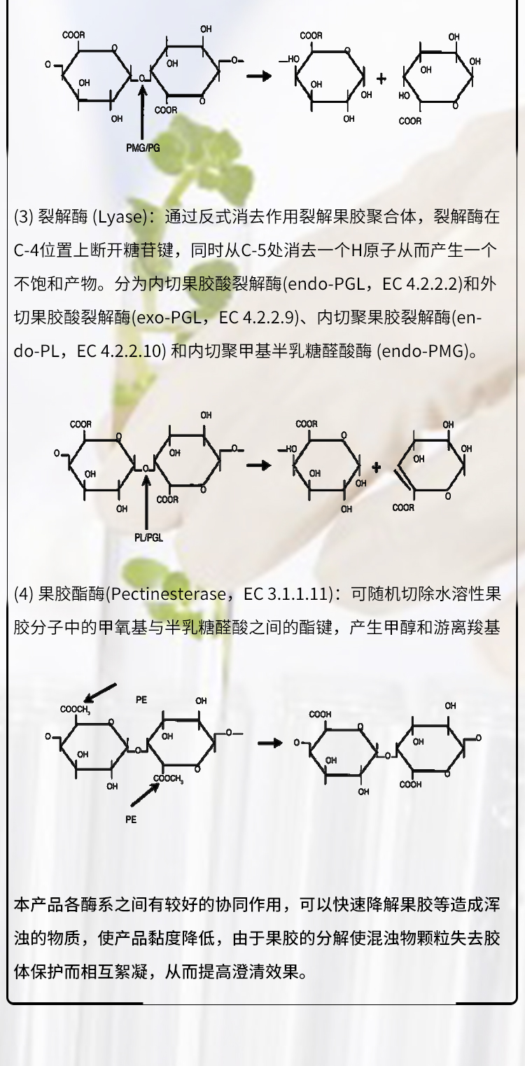 59-果膠酶30萬(wàn)FDG-2259_04