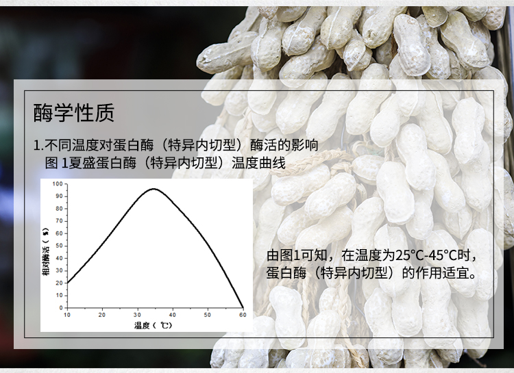 蛋白酶-（植物蛋白加工專用特異內(nèi)切型）詳情_(kāi)05