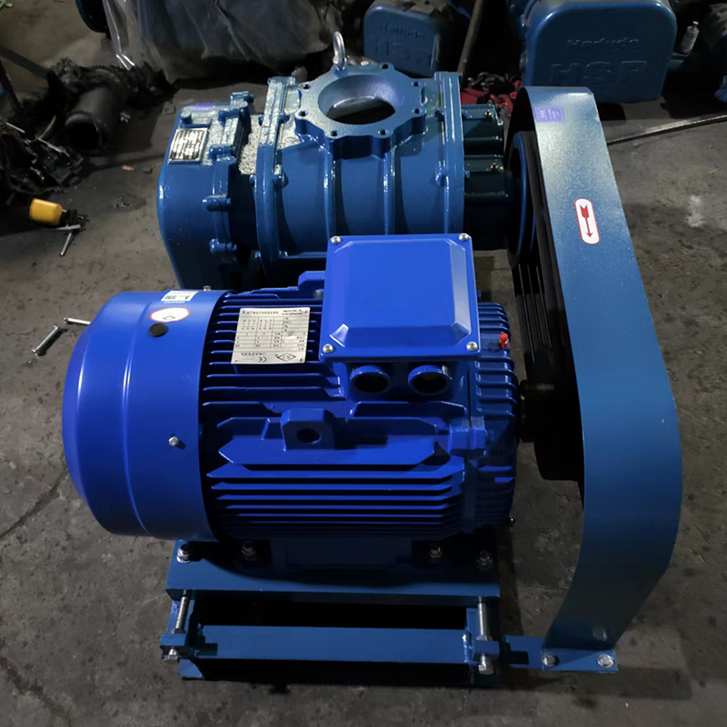 150型曝氣風(fēng)機