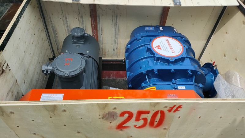 250水處理風(fēng)機